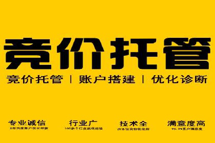 百度竞价排名服务在医疗行业的成功应用案例
